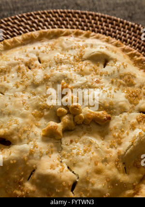 Frisch gebackener hausgemachter Apfelkuchen Stockfoto