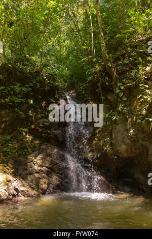 Die Halbinsel OSA, COSTA RICA - Wasserfall und Stream im Regenwald. Stockfoto