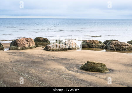 Felsiger Strand am Golf von Finnland. Estland Stockfoto