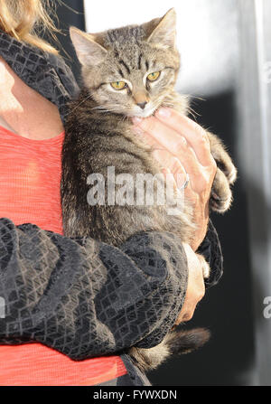 Hollywood, CA, USA. 27. April 2016.  Keanu. Anreise für die Los Angeles Premiere von Warner Bros. "'' Keanu'' an ArcLight Hollywood statt. Bildnachweis: Birdie Thompson/AdMedia Credit: Birdie Thompson/AdMedia/ZUMA Draht/Alamy Live-Nachrichten Stockfoto
