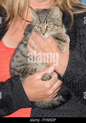 Hollywood, CA, USA. 27. April 2016.  Keanu. Anreise für die Los Angeles Premiere von Warner Bros. "'' Keanu'' an ArcLight Hollywood statt. Bildnachweis: Birdie Thompson/AdMedia Credit: Birdie Thompson/AdMedia/ZUMA Draht/Alamy Live-Nachrichten Stockfoto
