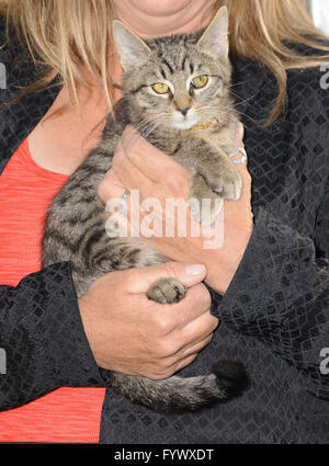 Hollywood, CA, USA. 27. April 2016.  Keanu. Anreise für die Los Angeles Premiere von Warner Bros. "'' Keanu'' an ArcLight Hollywood statt. Bildnachweis: Birdie Thompson/AdMedia Credit: Birdie Thompson/AdMedia/ZUMA Draht/Alamy Live-Nachrichten Stockfoto