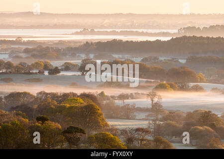 Stoborough Heath, Dorset, UK 28. April 2016 - UK-Wetter - Ansicht von West Hill bei Corfe Castle in Dorset über Stoborough Heath in Blickrichtung Poole Purbeck - Bild: Graham Hunt/Alamy Live News Stockfoto