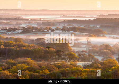 Stoborough Heath, Dorset, UK 28. April 2016 - UK-Wetter - Ansicht von West Hill bei Corfe Castle in Dorset über Stoborough Heath in Blickrichtung Poole Purbeck - Bild: Graham Hunt/Alamy Live News Stockfoto