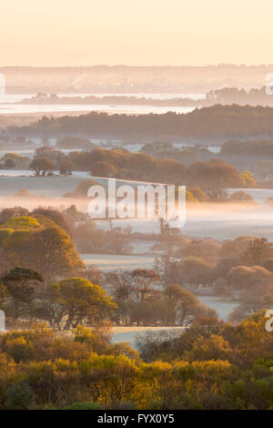 Stoborough Heath, Dorset, UK 28. April 2016 - UK-Wetter - Ansicht von West Hill bei Corfe Castle in Dorset über Stoborough Heath in Blickrichtung Poole Purbeck - Bild: Graham Hunt/Alamy Live News Stockfoto