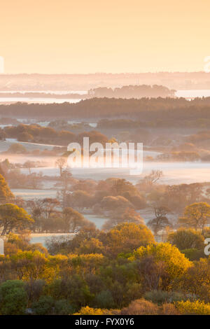 Stoborough Heath, Dorset, UK 28. April 2016 - UK-Wetter - Ansicht von West Hill bei Corfe Castle in Dorset über Stoborough Heath in Blickrichtung Poole Purbeck - Bild: Graham Hunt/Alamy Live News Stockfoto