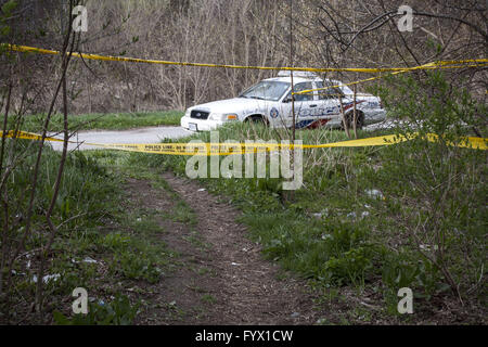 Toronto, Ontario, Kanada. 28. April 2016. Von der Polizei sicher einen Platz, wo ein menschlicher Schädel, am 27. April gefunden wurde. Die Gegend heißt Lavendel Creek Trail. Bildnachweis: Johnny De Franco/ZUMA Draht/Alamy Live-Nachrichten Stockfoto