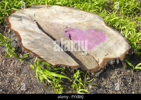 Baumstumpf mit Herz Stockfoto