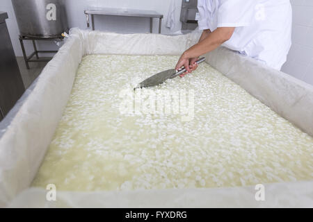 Bulgarischer Käse Stockfoto