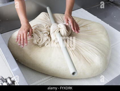 Griechischer Käse Stockfoto