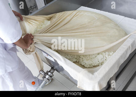Griechischer Käse Stockfoto