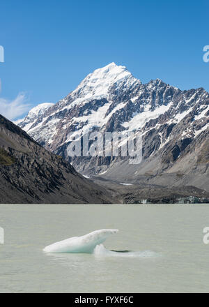 Hooker See und Gletscher mit Eisbergen und Mount Cook, Südinsel, Neuseeland. Stockfoto