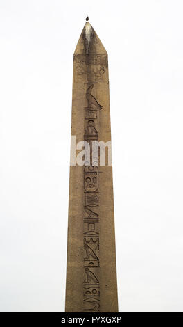 Alten Ägypten Obelisk in Istanbul Stockfoto