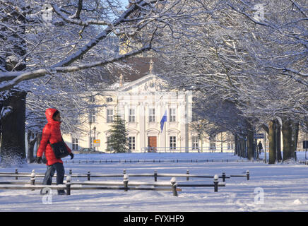 Gröberen Tiergarten, das Schloss Bellevue, Tiergarten, Berlin, Deutschland Stockfoto