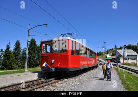 Vitznau-Rigi-Bahn, Zahnstange-undzahntrieb Gleis, Zahnradbahn, Bahnhof Rigi-Kulm, Rigi, Kanton Schwyz, Schweiz Stockfoto