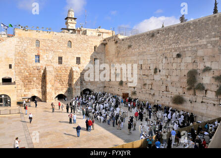 Klagemauer, Tempelberg, Jerusalem, Israel / Kotel Stockfoto