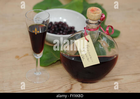 Felsenbirne, Servieberry, Likör Stockfoto