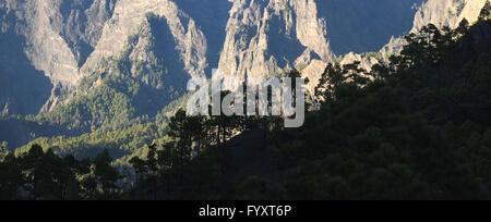 Caldera de Taburiente, La Palma Stockfoto