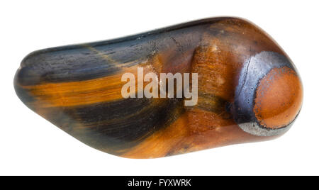 Makroaufnahmen von natürlichen Mineral Stein - Tiger-Auge und Falken-Auge Edelstein isoliert auf weißem Hintergrund getrommelt Stockfoto