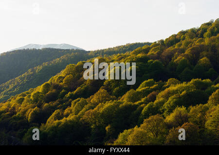 Eurasien, Kaukasus, Armenien, Provinz Lori, ländliche Landschaft Stockfoto