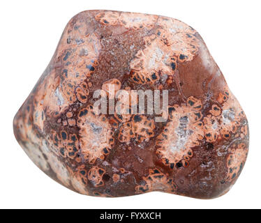 Makroaufnahmen von natürlichen Mineral Stein - poliert Leopardskin Jasper (Jaguar Stein, Orbicular Jaspis) Edelstein aus Madagaskar Stockfoto