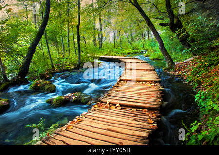 Tief im Wald Stream. Kristallklares Wasser. Stockfoto