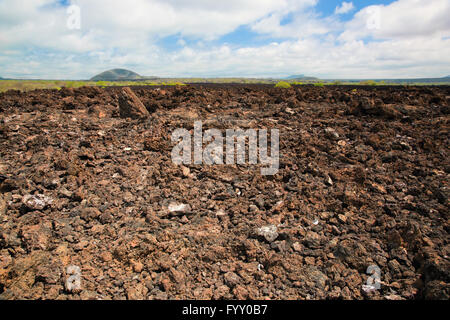 Basaltfelsen. Tsavo West, Kenia, Afrika Stockfoto