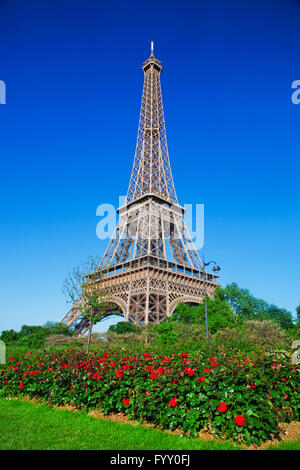 Eiffelturm, rote Rosen in Paris, Frankreich Stockfoto