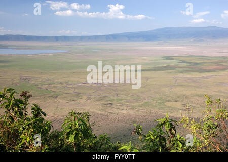 Ngorongoro-Krater in Tansania Stockfoto