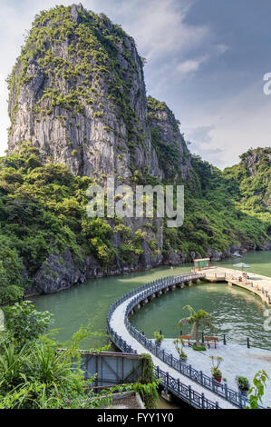 Kreuzfahrtschiffe in Dau Go Insel Bucht, Halong Bucht, Vietnam Stockfoto