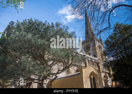 Holy Trinity Church und Fluss Avon, Stratford Warwickshire, England, Vereinigtes Königreich Stockfoto