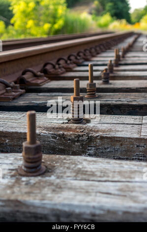 Eisenbahn-Schrauben in einem verlassenen Spuren Stockfoto