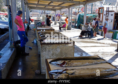 Frisch gefangen Snoek (Thyrsites Atun) und andere Fische zum Verkauf auf dem Fischmarkt am Hafen von Kalk Bay in Südafrika. Stockfoto