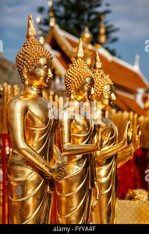 Goldene Buddhastatuen im Wat Phra, die Doi Suthep Stockfoto