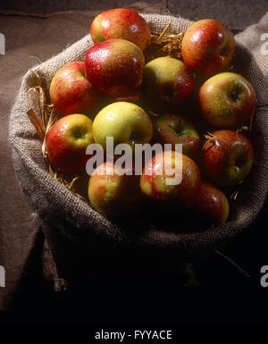 Eine gewebte Tasche voller roter Äpfel im Inneren. Stockfoto