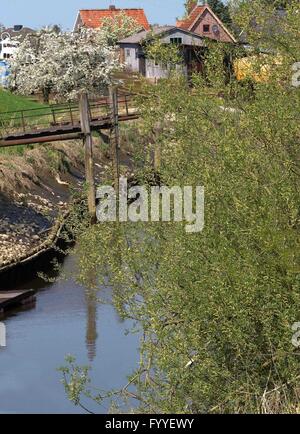 Zu Beginn des Mai die Region "Altes Land" (altes Land) genannt schaltet sich Nord-westlich von Hamburg in ein Blütenmeer Zehntausende von Apfel- und Kirschbäumen. Stockfoto