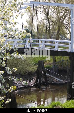 Zu Beginn des Mai die Region "Altes Land" (altes Land) genannt schaltet sich Nord-westlich von Hamburg in ein Blütenmeer Zehntausende von Apfel- und Kirschbäumen. Stockfoto