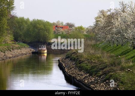 Zu Beginn des Mai die Region "Altes Land" (altes Land) genannt schaltet sich Nord-westlich von Hamburg in ein Blütenmeer Zehntausende von Apfel- und Kirschbäumen. Stockfoto