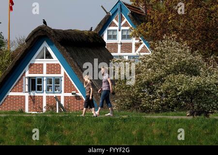 Zu Beginn des Mai die Region "Altes Land" (altes Land) genannt schaltet sich Nord-westlich von Hamburg in ein Blütenmeer Zehntausende von Apfel- und Kirschbäumen. Stockfoto