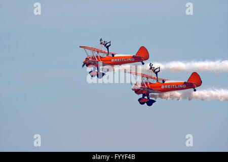 Breitling Flügel Wanderer anzeigen bei Swansea Air Show, South Wales, UK Stockfoto