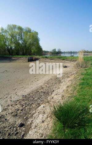 See entwässert / empty Étang zur Fischzucht im Parc Naturel Régional De La Brenne, Indre, Frankreich Stockfoto