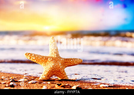 Seestern am exotischen Strand bei warmen Sonnenuntergang Stockfoto