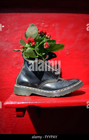 Blumen im Boot außerhalb ein Restaurant in dem Viertel Albaicin, alte maurische Viertel über den Fluss Darro von der Alhambra Stockfoto