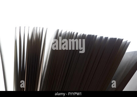 Offenes Buch Stockfoto