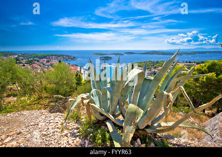 Panoramablick auf die Küste der Insel Hvar-Insel Stockfoto