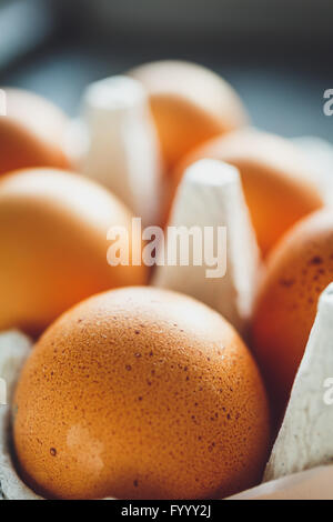 Hühnereier in Eierbehälter Stockfoto