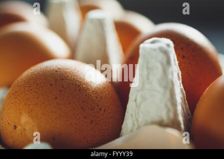 Hühnereier in Eierbehälter Stockfoto
