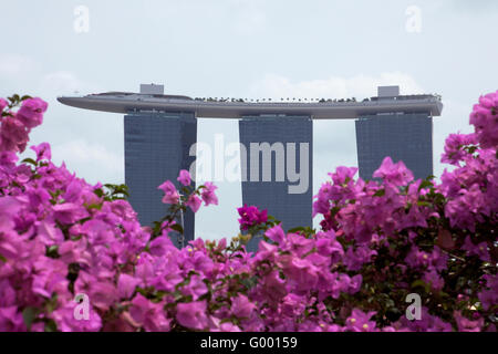 Bild des Marina Bay Sands, Singapur, gesehen durch ein buntes Blumenbeet. Stockfoto