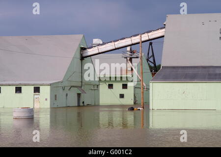 Gebäude im überquellenden Fluss versunken Stockfoto