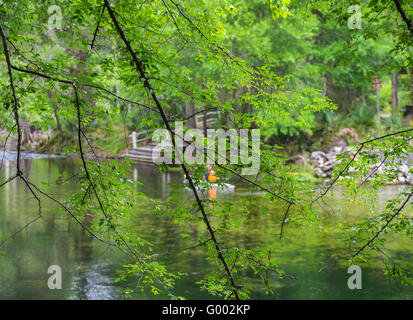 PoE Springs Park verfügt über eine Süßwasserquelle fließenden heraus zu den nahe gelegenen Santa Fe-Fluss in Nord-Zentral-Florida. Stockfoto